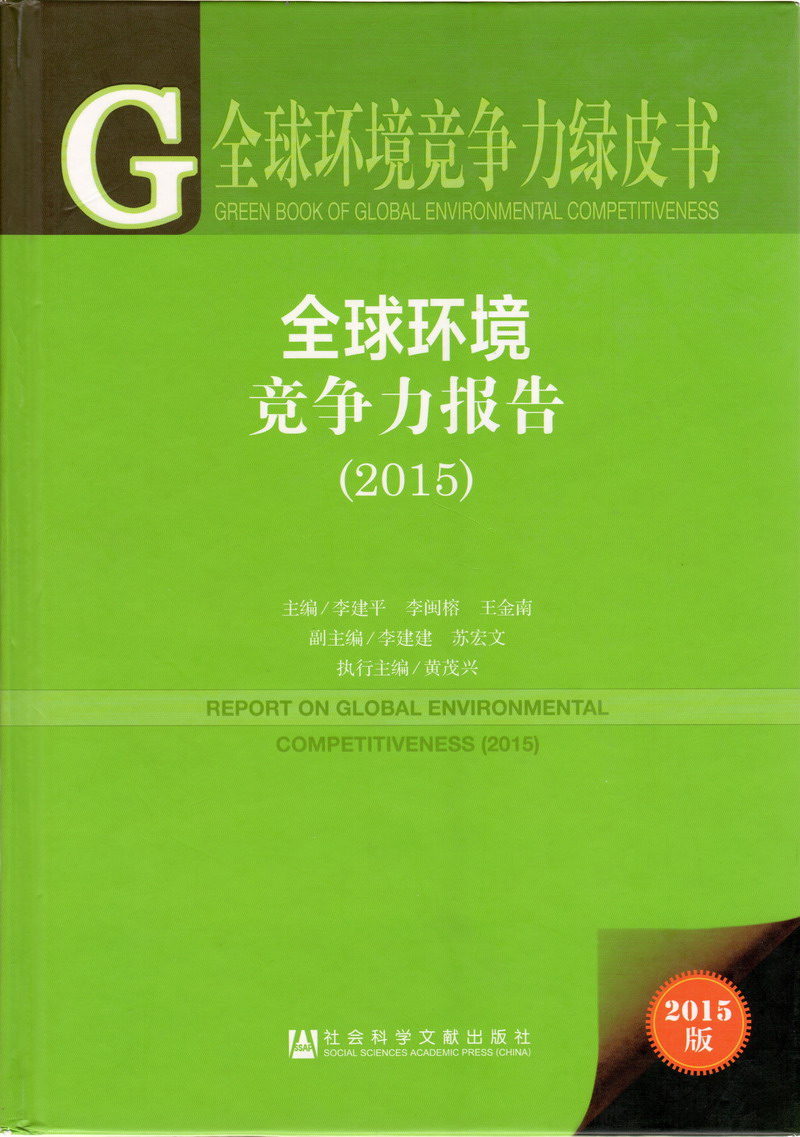 日韩操逼视频网址全球环境竞争力报告（2017）